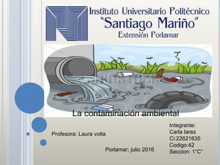 La contaminación ambiental
Integrante:
Carla larez
Ci:22621635
Codigo:42
Seccion: 1”C”
Profesora: Laura volta
Porlamar; julio 2016
 