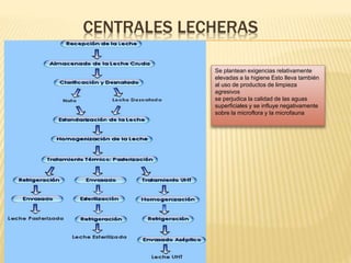 CENTRALES LECHERAS
Se plantean exigencias relativamente
elevadas a la higiene Esto lleva también
al uso de productos de limpieza
agresivos
se perjudica la calidad de las aguas
superficiales y se influye negativamente
sobre la microflora y la microfauna
 