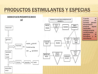PRODUCTOS ESTIMULANTES Y ESPECIAS
Cuando el
proceso es
húmedo genera
fermentación
produce aguas
residuales
biológicamente
contaminadas y
perjudica la
microflora y la
microfauna
 