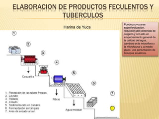 ELABORACION DE PRODUCTOS FECULENTOS Y
TUBERCULOS
Harina de Yuca
Puede provocarse
sobrefertilización,
reducción del contenido de
oxígeno y con ello un
empeoramiento general de
la calidad del agua,
cambios en la microflora y
la microfauna y, a medio
plazo, una perturbación de
biotopos acuáticos.
 