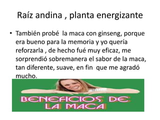Raíz andina , planta energizante
• También probé la maca con ginseng, porque
era bueno para la memoria y yo quería
reforzarla , de hecho fué muy eficaz, me
sorprendió sobremanera el sabor de la maca,
tan diferente, suave, en fin que me agradó
mucho.
 