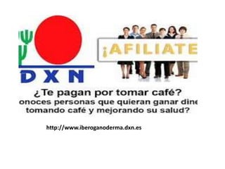 http://www.iberoganoderma.dxn.es
 