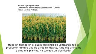 Hubo un tiempo en el que la hacienda de Lombardía fue el
productor numero uno de arroz en México. Amo mis animales
y amo mis plantas. Ha tomado un significado.
Aprendizaje significativo
Licenciatura en Desarrollo Agroindustrial – UNIVIM
Héctor Sánchez Pedraza.
 