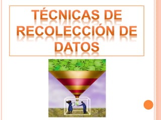 Recabar Datos técnicas e Instrumentos de Recolección de Datos | PPTX