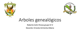 Arboles genealógicos
Roberto Colin Peraza grupo IV-V
Docente: Ernesto Armienta Aldana
 
