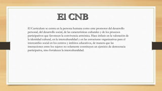 El Curriculum se centra en la persona humana como ente promotor del desarrollo
personal, del desarrollo social, de las características culturales y de los procesos
participativos que favorecen la convivencia armónica. Hace énfasis en la valoración de
la identidad cultural, en la interculturalidad y en las estructuras organizativas para el
intercambio social en los centros y ámbitos educativos, de manera que las
interacciones entre los sujetos no solamente constituyen un ejercicio de democracia
participativa, sino fortalecen la interculturalidad.
 