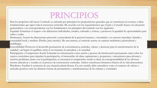 PRINCIPIOS
Para los propósitos del nuevo Currículo se entiende por principios los proposiciones generales que se constituyen en normas o ideas
fundamentales que rigen toda la estructura curricular. De acuerdo con los requerimientos que el país y el mundo hacen a la educación
guatemalteca y en correspondencia con los fundamentos, los principios del currículo son los siguientes:
Equidad: Garantizar el respeto a las diferencias individuales, sociales, culturales y étnicas, y promover la igualdad de oportunidades para
todos y todas.
Pertinencia: Asumir las dimensiones personal y sociocultural de la persona humana y vincurlarlas a su entorno inmediato (familia y
comunidad local) y mediato (Pueblo, país, mundo). De esta manera, el currículo asume un carácter multiétnico, pluricultural y
multilingüe.
Sostenibilidad: Promover el desarrollo permanente de conocimientos, actitudes, valores y destrezas para la transformación de la
realidad y así lograr el equilibrio entre el ser humano, la naturaleza y la sociedad.
Participación y Compromiso Social: Estimular la comunicación como acción y proceso de interlocución permanente entre todos los
sujetos curriculares para impulsar la participación, el intercambio de ideas, aspiraciones y propuestas y mecanismos para afrontar y
resolver problemas. Junto con la participación, se encuentra el compromiso social; es decir, la corresponsabilidad de los diversos
actores educativos y sociales en el proceso de construcción curricular. Ambos constituyen elementos básicos de la vida democrática.
Pluralismo: Facilitar la existencia de una situación plural diversa. En este sentido, debe entenderse como el conjunto de valores y
actitudes positivos ante las distintas formas de pensamiento y manifestaciones de las culturas y sociedades.
 