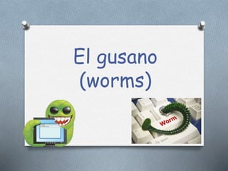 El gusano
(worms)
 