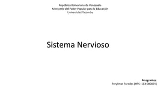 República Bolivariana de Venezuela
Ministerio del Poder Popular para la Educación
Universidad Yacambu
Sistema Nervioso
Integrantes:
Freylimar Paredes (HPS- 163-00083V)
 