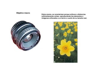 Objetivo macro
Estos zooms, se caracterizan porque enfocan a distancias
suficientemente cortas, reproduciendo los elementos o
imágenes enfocados a un tercio o cuarto de su tamaño real.
 