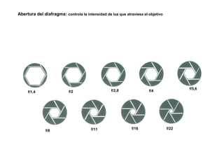 Abertura del diafragma: controla la intensidad de luz que atraviesa el objetivo
f/1,4 f/2 f/2,8 f/4
f/5,6
f/8 f/11 f/16 f/22
 