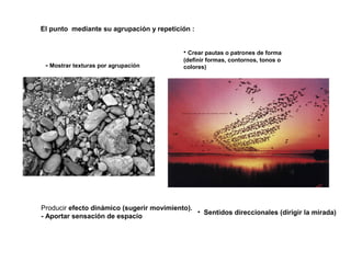 El punto mediante su agrupación y repetición :
• Crear pautas o patrones de forma
(definir formas, contornos, tonos o
colores)
• Sentidos direccionales (dirigir la mirada)
Producir efecto dinámico (sugerir movimiento).
- Aportar sensación de espacio
- Mostrar texturas por agrupación
 