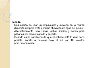 Secado.
• Una opción es usar un limpiasudor y moverlo en la misma
dirección del pelo. Esto exprime el exceso de agua del pelaje
• Alternativamente, usa varias toallas limpias y secas para
pasarlas por todo el caballo y secarlo.
• Cuando estés satisfecho de que el caballo está lo más seco
posible, sácalo a caminar bajo el sol por 10 minutos
aproximadamente.
 