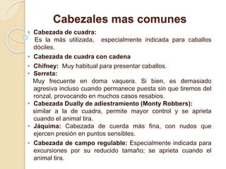 Cabezales mas comunes
• Cabezada de cuadra:
Es la más utilizada, especialmente indicada para caballos
dóciles.
• Cabezada de cuadra con cadena
• Chifney: Muy habitual para presentar caballos.
• Serreta:
Muy frecuente en doma vaquera. Si bien, es demasiado
agresiva incluso cuando permanece puesta sin que tiremos del
ronzal, provocando en muchos casos resabios.
• Cabezada Dually de adiestramiento (Monty Robbers):
similar a la de cuadra, permite mayor control y se aprieta
cuando el animal tira.
• Jáquima: Cabezada de cuerda más fina, con nudos que
ejercen presión en puntos sensibles.
• Cabezada de campo regulable: Especialmente indicada para
excursiones por su reducido tamaño; se aprieta cuando el
animal tira.
 