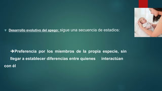  Desarrollo evolutivo del apego: sigue una secuencia de estadios:
Preferencia por los miembros de la propia especie, sin
llegar a establecer diferencias entre quienes interactúan
con él
 