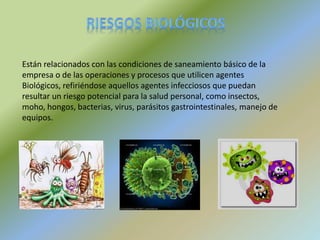Están relacionados con las condiciones de saneamiento básico de la
empresa o de las operaciones y procesos que utilicen agentes
Biológicos, refiriéndose aquellos agentes infecciosos que puedan
resultar un riesgo potencial para la salud personal, como insectos,
moho, hongos, bacterias, virus, parásitos gastrointestinales, manejo de
equipos.
 