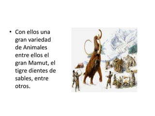 • Con ellos una
gran variedad
de Animales
entre ellos el
gran Mamut, el
tigre dientes de
sables, entre
otros.
 