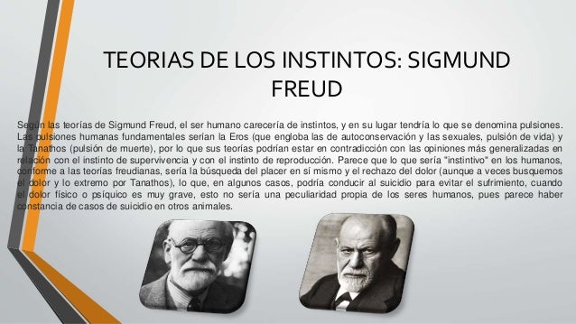 Descubre la Teoría de los Instintos de Freud Teoria de los instintos freud