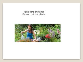 Take care of plants
Do not cut the plants
 
