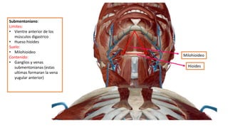 Submentoniano:
Limites:
• Vientre anterior de los
músculos digastrico
• Hueso hioides
Suelo:
• Milohioideo
Contenido:
• Ganglios y venas
submentonianas (estas
ultimas formaran la vena
yugular anterior)
Milohioideo
Hioides
 