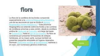 La flora de la cordillera de los Andes comprende
especialmente a la provincia fitogeográfica Altoandina,
una de las secciones en que se divide el dominio
fitogeográfico Andino-Patagónico.18 Esta provincia
fitogeográfica se extiende sobre los Andes y las cumbres
de cordilleras próximas a este cordón, desde la cordillera
andina de Venezuela y Colombia, a lo largo del oeste
de Sudamérica, hasta la isla de los Estados. Su flora se
caracteriza por presentar formaciones de estepas
herbáceas, en su mayor parte, aunque también se
presentan pequeños arbustales en lugares reparados.
Dominan gramíneas xerófilas y dicotiledóneas rastreras o
en cojín, con numerosos géneros endémicos.
inicio
 