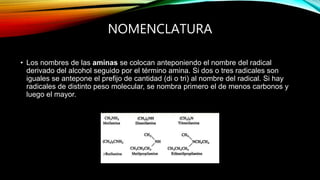 NOMENCLATURA
• Los nombres de las aminas se colocan anteponiendo el nombre del radical
derivado del alcohol seguido por el término amina. Si dos o tres radicales son
iguales se antepone el prefijo de cantidad (di o tri) al nombre del radical. Si hay
radicales de distinto peso molecular, se nombra primero el de menos carbonos y
luego el mayor.
 