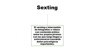 MAPA CONCEPTUAL Los Riesgos Del Internet