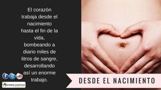 como cuidar el corazon ALIMENTOS BUENOS PARA EL CORAZON