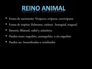 • Forma de nacimiento: Viviparos, oviparos, ovoviviparos
• Forma de respirar: Pulmonar, cutánea , branquial, traqueal.
• Simetria: Bilateral, radial y asimétrica
• Pueden tener: esqueleto, exoesqueleto, o sin esqueleto
• Pueden ser: Invertebrados o vertebrados
 