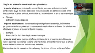 Según su interrelación de acciones y/o efectos
Impacto simple: cuyo impacto se manifiesta sobre un solo componente
ambiental o cuyo modo de acción es individualizado, sin consecuencias en la
inducción de nuevos efectos, ni en la de su acumulación, ni en la de su sinergia.
 Ejemplo
Extinción de una especie
Impacto acumulativo: cuyo efecto al prolongarse en el tiempo, incrementa
progresivamente su gravedad por carecer el medio de mecanismos de eliminación
efectivos similares al incremento del impacto.
 Ejemplo
Acumulación del nivel de plomo en la sangre
Impacto sinérgico: cuando el efecto conjunto de la presencia simultánea de
varios agentes o acciones supone una incidencia ambiental mayor que el efecto
suma de las incidencias individuales aisladas.
Contaminación de monóxido de carbono y de óxidos nítricos en la atmósfera.
 