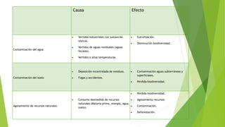 Causa Efecto
Contaminación del agua
 Vertidos industriales con sustancias
tóxicas.
 Vertidos de aguas residuales (aguas
fecales).
 Vertidos a altas temperaturas.
 Eutrofización.
 Disminución biodiversidad.
Contaminación del suelo
 Deposición incontrolada de residuos.
 Fugas y accidentes.
 Contaminación aguas subterráneas y
superficiales.
 Perdida biodiversidad.
Agotamiento de recursos naturales
 Consumo desmedido de recursos
naturales (Materia prima, energía, agua,
suelo).
 Perdida biodiversidad.
 Agotamiento recursos.
 Contaminación.
 Deforestación.
 