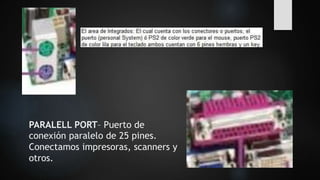 PARALELL PORT– Puerto de
conexión paralelo de 25 pines.
Conectamos impresoras, scanners y
otros.
 