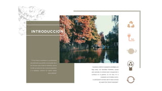 Plan director delta tigre grupo 12