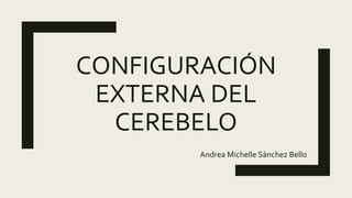 CONFIGURACIÓN
EXTERNA DEL
CEREBELO
Andrea Michelle Sánchez Bello
 