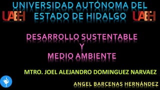 DESARROLLO SUSTENTABLE
Y
MEDIO AMBIENTE
MTRO. JOEL ALEJANDRO DOMINGUEZ NARVAEZ
ANGEL BARCENAS HERNÁNDEZ
 