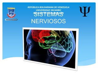 SISTEMAS
NERVIOSOS
REPÚBLICA BOLIVARIANA DE VENEZUELA
UNIVERSIDAD YACAMBÚ
FACULTAD DE HUMANIDADES
 