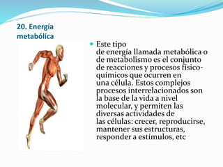 20. Energía
metabólica
 Este tipo
de energía llamada metabólica o
de metabolismo es el conjunto
de reacciones y procesos físico-
químicos que ocurren en
una célula. Estos complejos
procesos interrelacionados son
la base de la vida a nivel
molecular, y permiten las
diversas actividades de
las células: crecer, reproducirse,
mantener sus estructuras,
responder a estímulos, etc
 