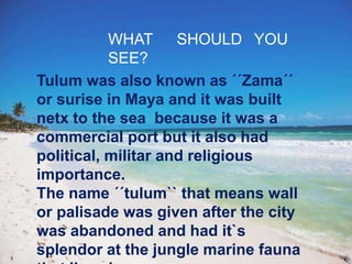 Presentación1 | PPT