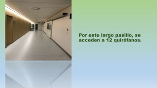 Por este largo pasillo, se
acceden a 12 quirófanos.
 