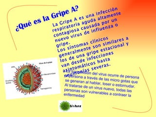La Gripe A es una infección respiratoria aguda altamente contagiosa causada por un nuevo virus de influenza o gripe. Los síntomas clínicos generalmente son similares a los de una gripe estacional y van desde infecciones asintomáticos hasta neumonías severas. La transmisión del virus ocurre de persona a persona a través de las micro gotas que se generan al hablar, toser o estornudar. Al tratarse de un virus nuevo, todas las personas son vulnerables a contraer la enfermedad ¿Qué es la Gripe A? 