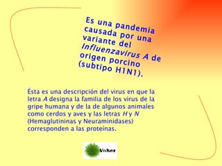 Es una pandemia causada por una variante del  Influenzavirus A  de origen porcino (subtipo H1N1).  Ésta es una descripción del virus en que la letra  A  designa la familia de los virus de la gripe humana y de la de algunos animales como cerdos y aves y las letras  H  y  N  (Hemaglutininas y Neuraminidases) corresponden a las proteínas.  