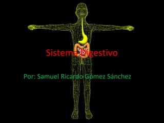 Sistema Digestivo

Por: Samuel Ricardo Gómez Sánchez
 
