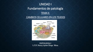 UNIDAD I
Fundamentos de patología
TEMA II:
CAMBIOS CELULARES EN LOS TEJIDOS
PATOLOGIA I
L.T.F. Nancy Aydee Diego Mota
 