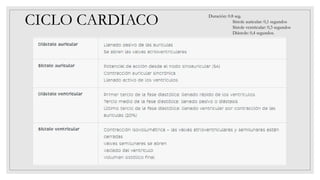 CICLO CARDIACO Duración: 0.8 seg.
Sístole auricular: 0,1 segundos
Sístole ventricular: 0,3 segundos
Diástole: 0,4 segundos.
 