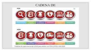 CADENA DE
SUPERVIVENCIA
 