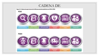 CADENA DE
SUPERVIVENCIA
 