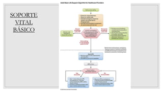 SOPORTE
VITAL
BÁSICO
 