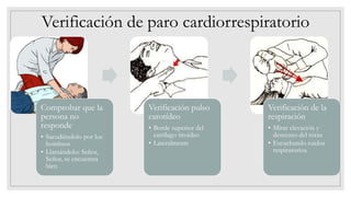 Verificación de paro cardiorrespiratorio
Comprobar que la
persona no
responde
• Sacudiéndolo por los
hombros
• Llamándolo: Señor,
Señor, se encuentra
bien
Verificación pulso
carotídeo
• Borde superior del
cartílago tiroideo
• Lateralmente
Verificación de la
respiración
• Mirar elevación y
descenso del tórax
• Escuchando ruidos
respiratorios.
 