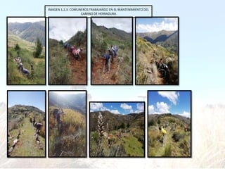 IMAGEN 1,2,3: COMUNEROS TRABAJANDO EN EL MANTENIMIENTO DEL
CAMINO DE HERRADURA
 