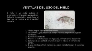 VENTAJAS DEL USO DEL HIELO
El hielo, Es un medio portable de
preservación o refrigeración, que puede ser
fácilmente transportado y usado hasta el
lugar que se requiere y en la cantidad
necesaria.
1. Posee una gran capacidad de enfriamiento.
2. No contamina, ya que es inocuo, siempre y cuando sea producido bajo esas
condiciones.
3. Es relativamente barato.
4. Al entrar en contacto directo con el pescado, el hielo lo enfría rápidamente
5. Se transporta con facilidad, convirtiéndose en un método de enfriamiento
portátil.
6. El agua derretida del hielo mantiene el pescado húmedo, lavado y de apariencia
atractiva.
 